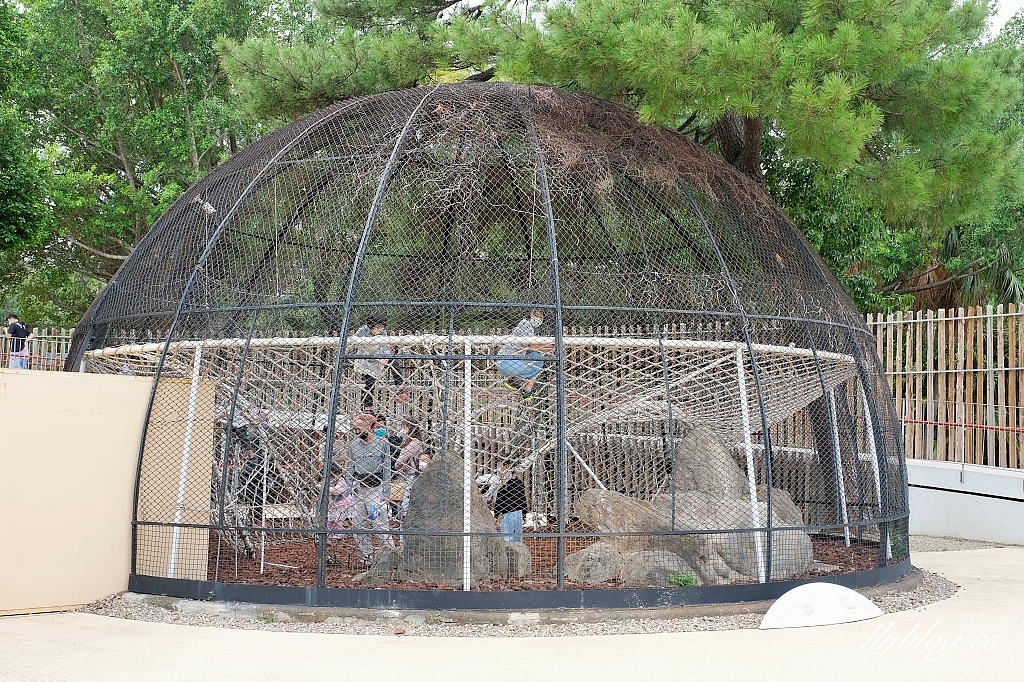 新竹東區｜新竹市立動物園．火車站步行15分鐘抵達，台灣現址最老的動物園 @飛天璇的口袋