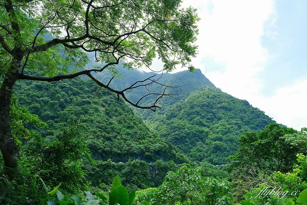 花蓮秀林｜清水斷崖．東海岸一大奇景，坐擁太平洋蔚藍海景 @飛天璇的口袋