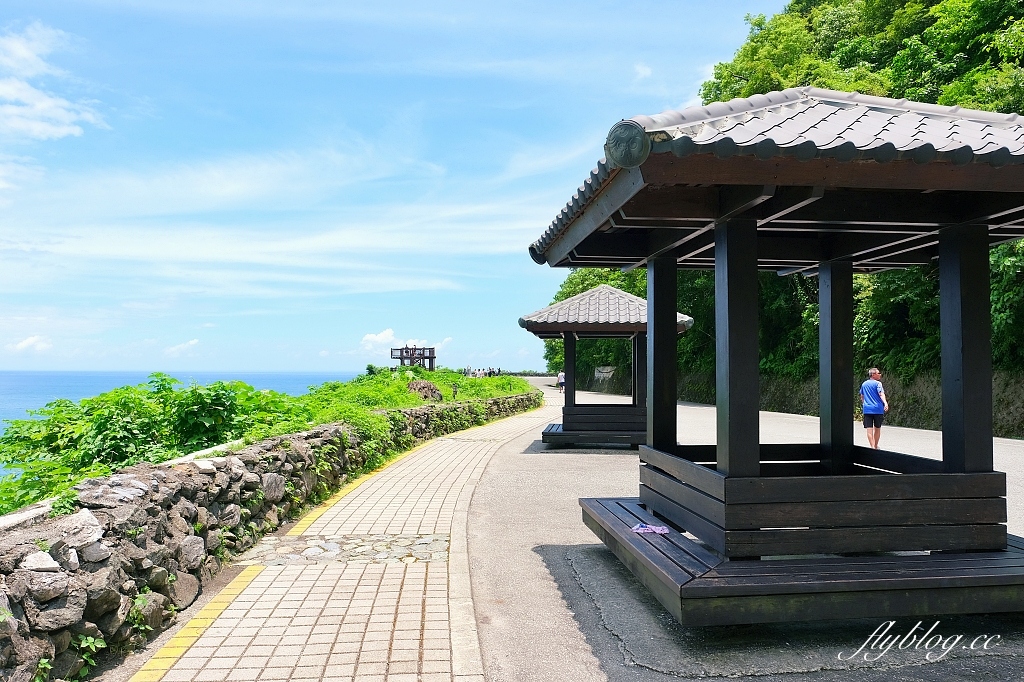 花蓮秀林｜清水斷崖．東海岸一大奇景，坐擁太平洋蔚藍海景 @飛天璇的口袋