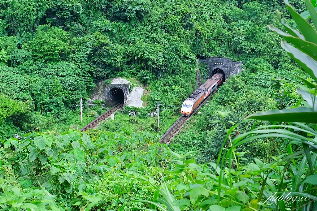 花蓮秀林｜清水斷崖．東海岸一大奇景，坐擁太平洋蔚藍海景 @飛天璇的口袋