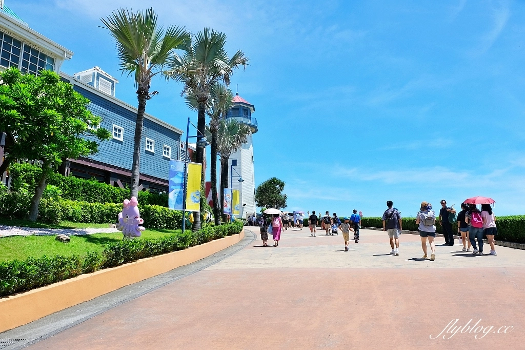 花蓮壽豐｜遠雄海洋公園．門票優惠及遊園攻略，必看美人魚秀和海豚秀 @飛天璇的口袋
