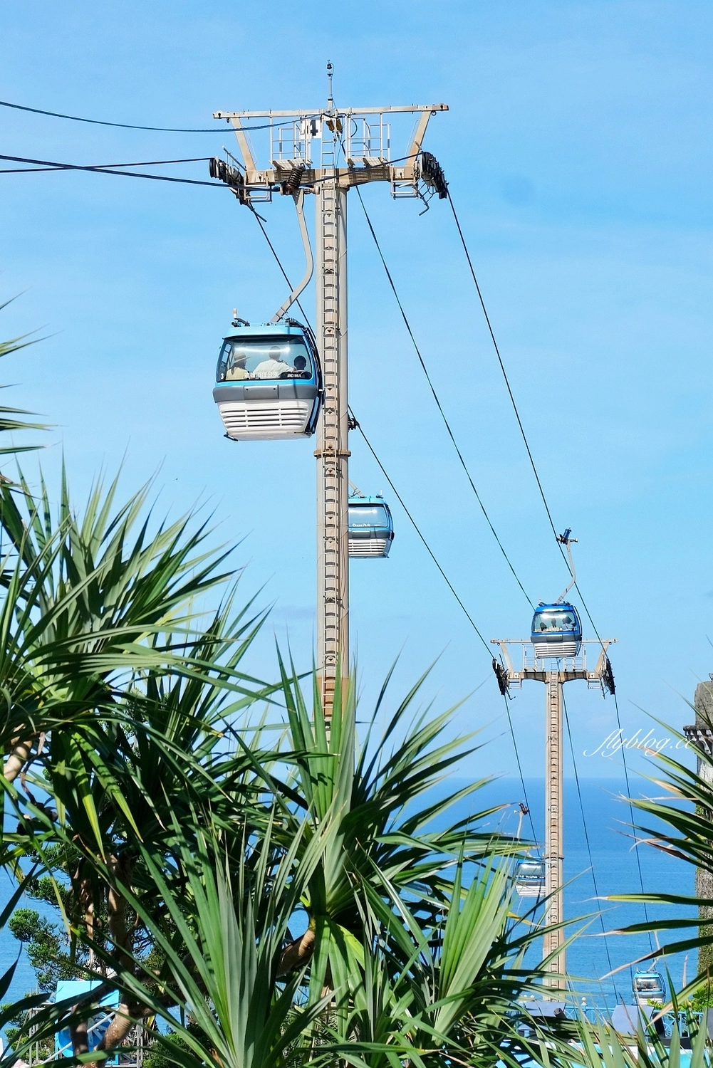 花蓮壽豐｜遠雄海洋公園．門票優惠及遊園攻略，必看美人魚秀和海豚秀 @飛天璇的口袋