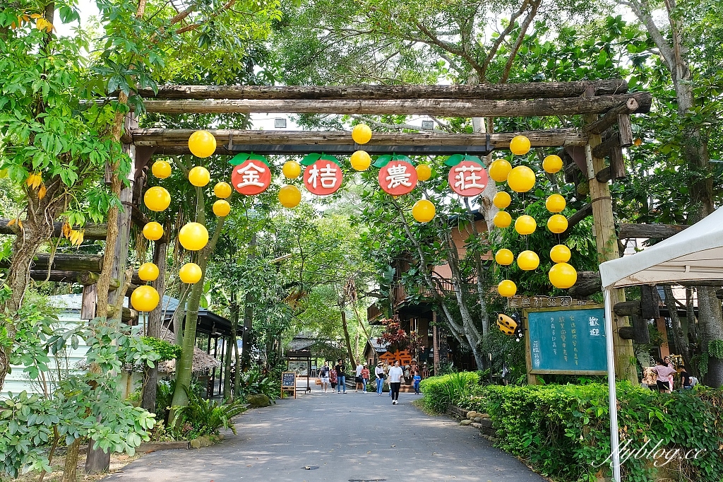 嘉義旅遊｜台灣好行故宮南院線．嘉義民雄新港一日遊，最輕鬆的親子輕旅行 @飛天璇的口袋