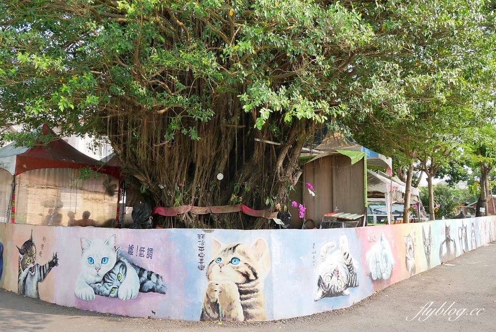 嘉義旅遊｜台灣好行故宮南院線．嘉義民雄新港一日遊，最輕鬆的親子輕旅行 @飛天璇的口袋