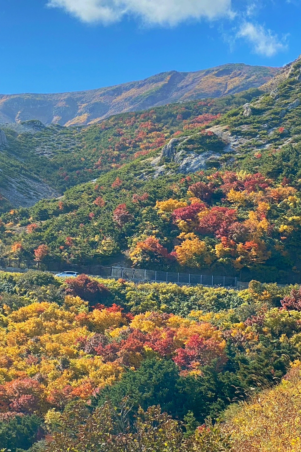 日本福島｜磐梯吾妻．東北賞楓秘境，絕美夢幻Skyline，美麗的天際線 @飛天璇的口袋
