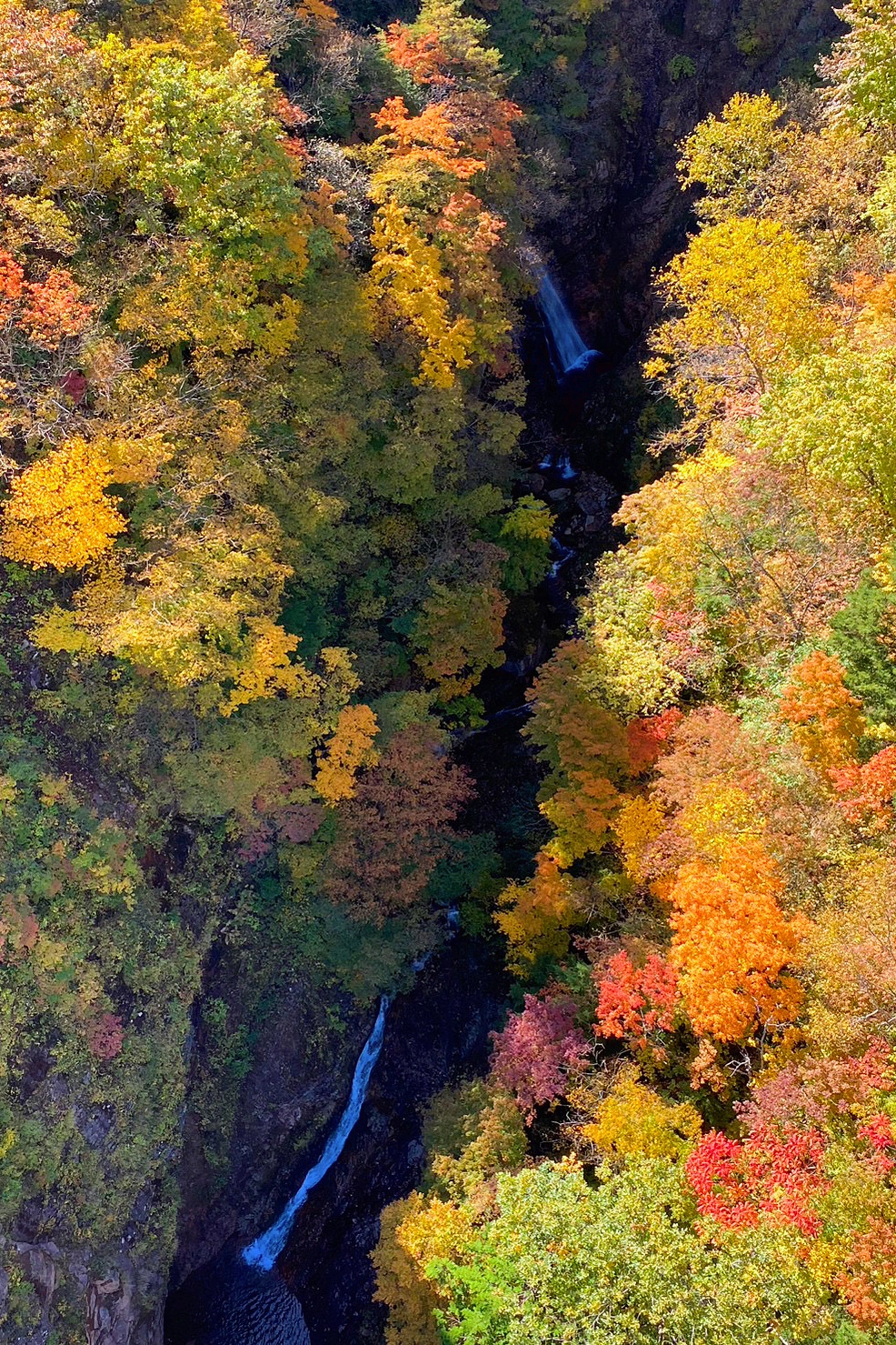 日本福島｜磐梯吾妻．東北賞楓秘境，絕美夢幻Skyline，美麗的天際線 @飛天璇的口袋