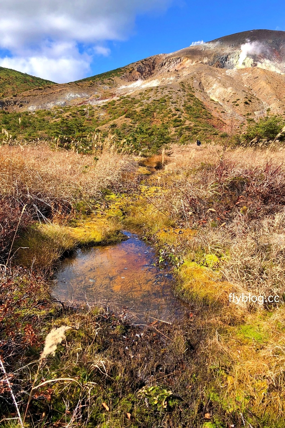 日本福島｜磐梯吾妻．東北賞楓秘境，絕美夢幻Skyline，美麗的天際線 @飛天璇的口袋