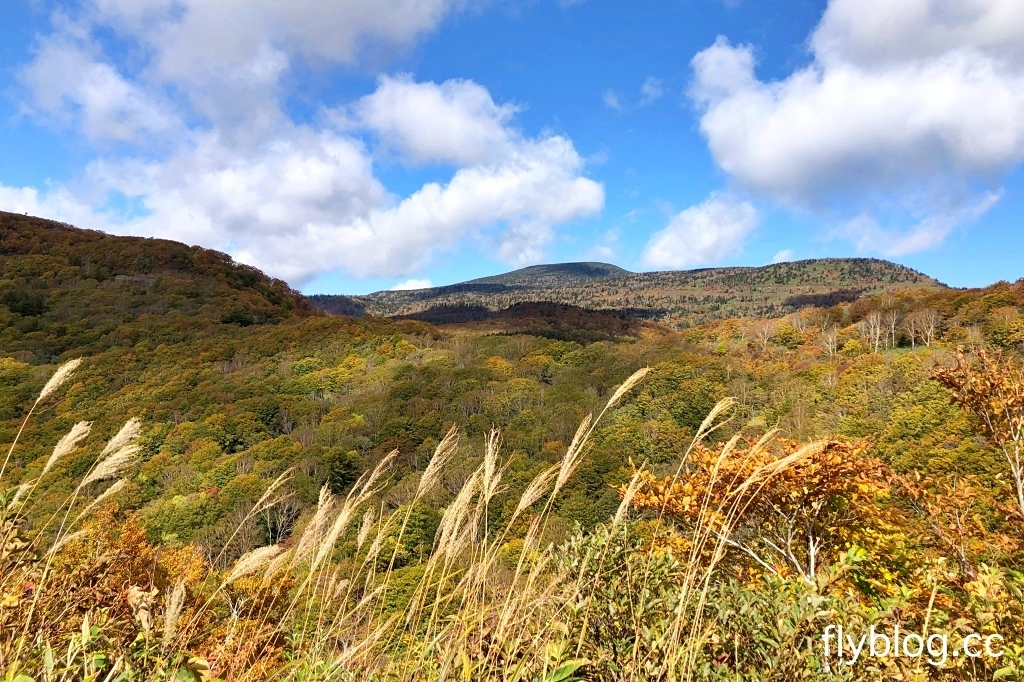 日本福島｜磐梯吾妻．東北賞楓秘境，絕美夢幻Skyline，美麗的天際線 @飛天璇的口袋