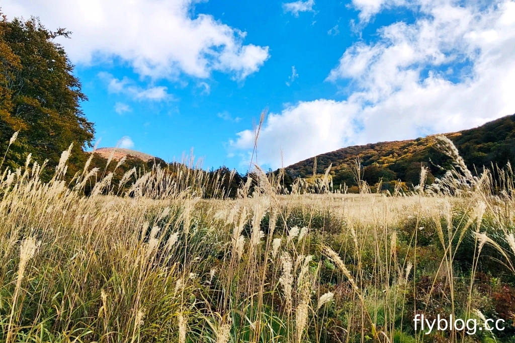 日本福島｜磐梯吾妻．東北賞楓秘境，絕美夢幻Skyline，美麗的天際線 @飛天璇的口袋