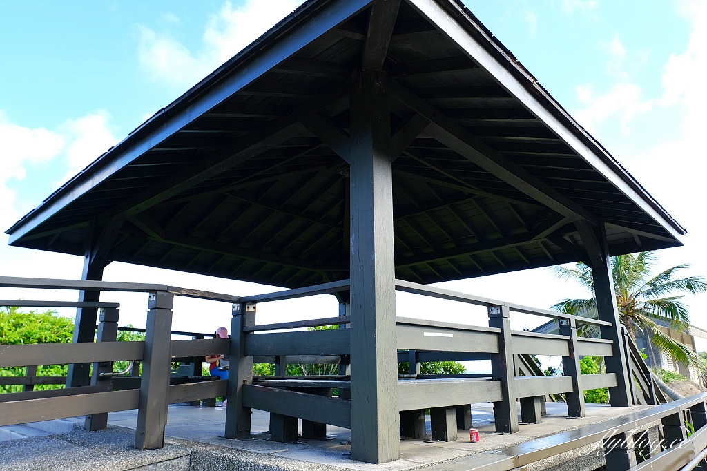 花蓮豐濱|石梯坪遊憩風景區.台灣第一壺穴景觀,花蓮沿海自然保護區 @飛天璇的口袋 花蓮豐濱|石梯坪遊憩風景區.台灣第一壺穴景觀,花蓮沿海自然保護區 @飛天璇的口袋