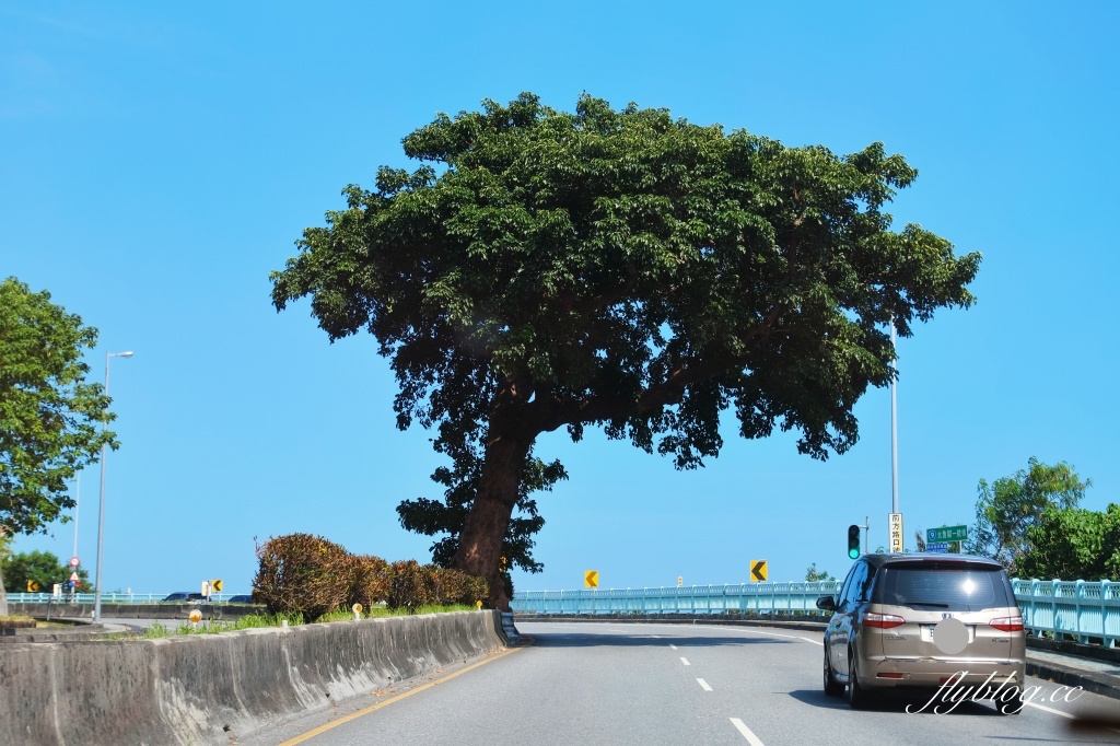 花蓮秀林|台泥DAKA園區.特色星巴克、複合式7-11、飄浮斑馬線、整點水舞秀,蘇花改必遊景點 @飛天璇的口袋 花蓮秀林|台泥DAKA園區.特色星巴克、複合式7-11、飄浮斑馬線、整點水舞秀,蘇花改必遊景點 @飛天璇的口袋
