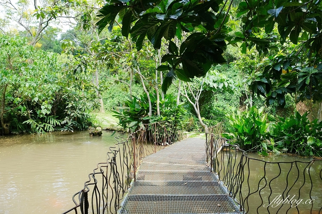 嘉義民雄｜民雄金桔觀光工廠．免費自然生態景點，還有烤肉露營場地 @飛天璇的口袋