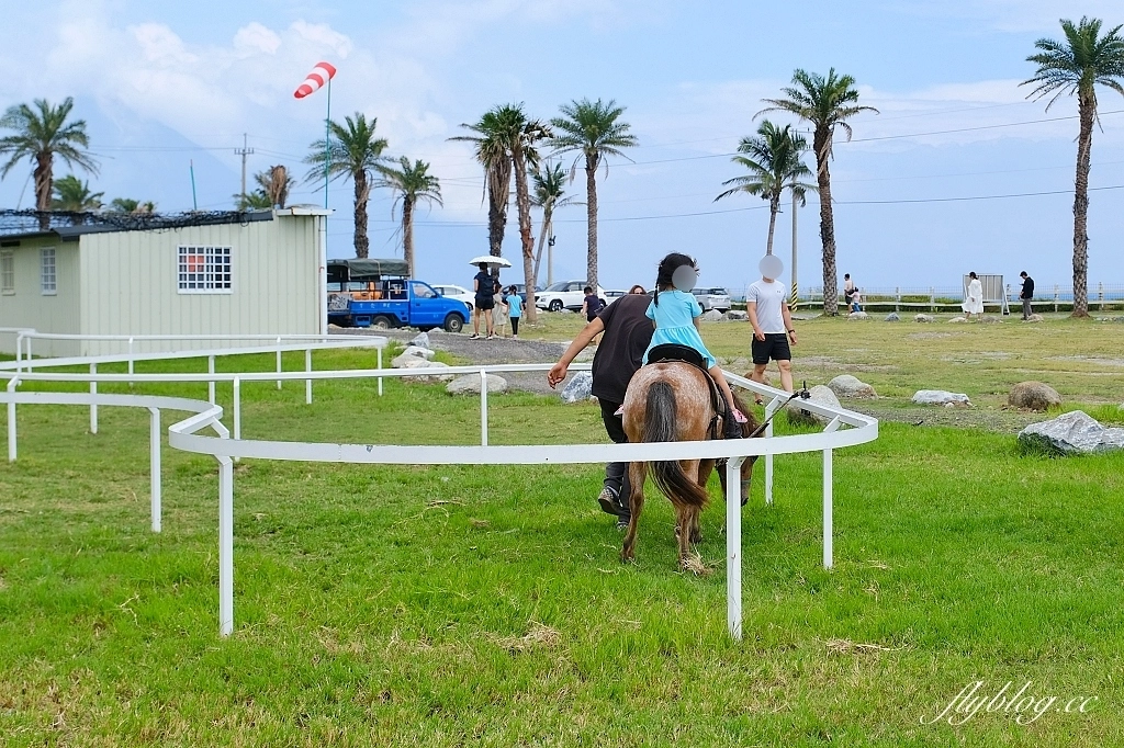 花蓮秀林｜崇德盈牧場．花蓮最推薦的親子牧場，網美必拍天空之境 @飛天璇的口袋