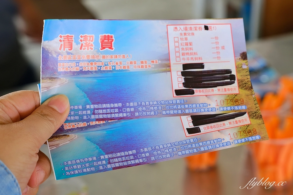 花蓮秀林｜崇德盈牧場．花蓮最推薦的親子牧場，網美必拍天空之境 @飛天璇的口袋