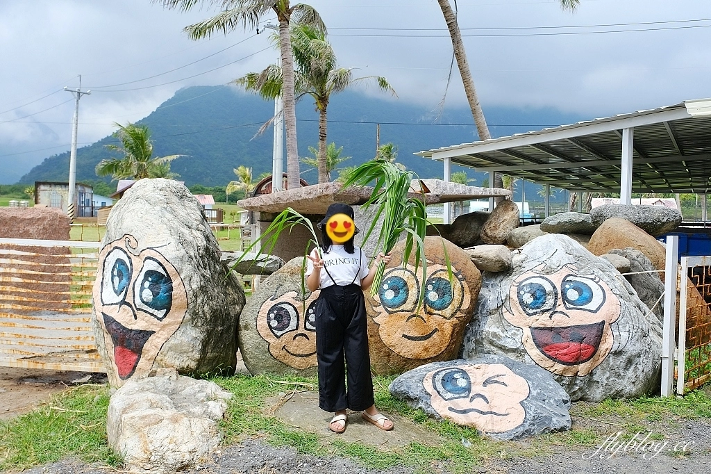 花蓮秀林｜崇德盈牧場．花蓮最推薦的親子牧場，網美必拍天空之境 @飛天璇的口袋