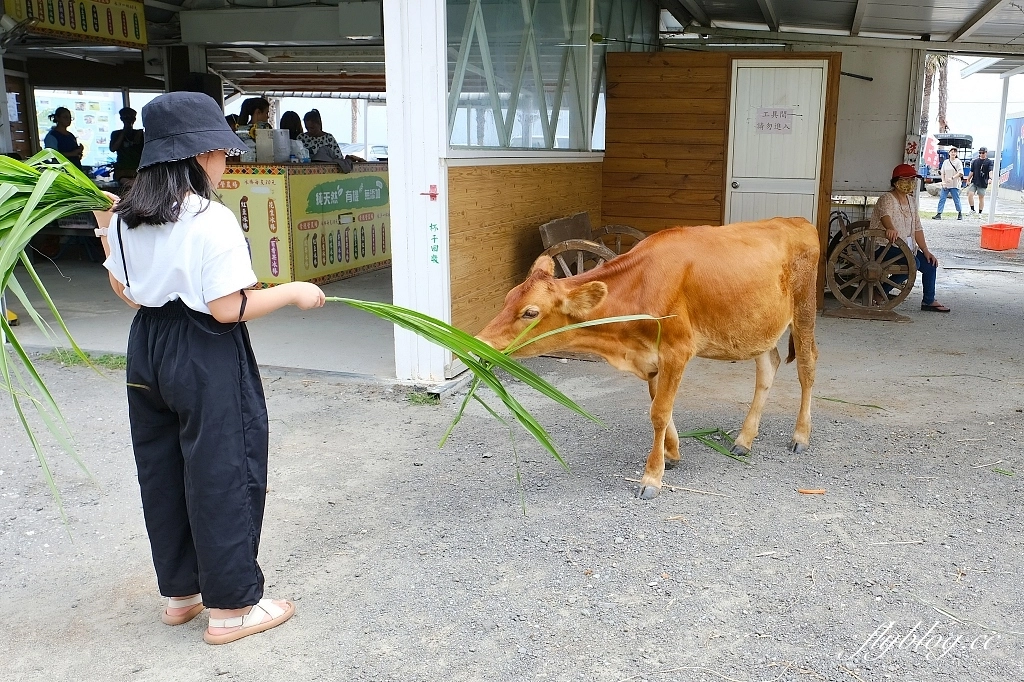 花蓮秀林｜崇德盈牧場．花蓮最推薦的親子牧場，網美必拍天空之境 @飛天璇的口袋