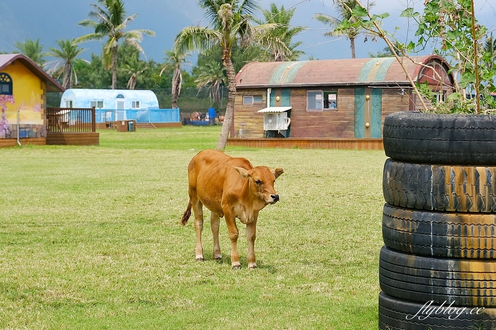 花蓮秀林｜崇德盈牧場．花蓮最推薦的親子牧場，網美必拍天空之境 @飛天璇的口袋