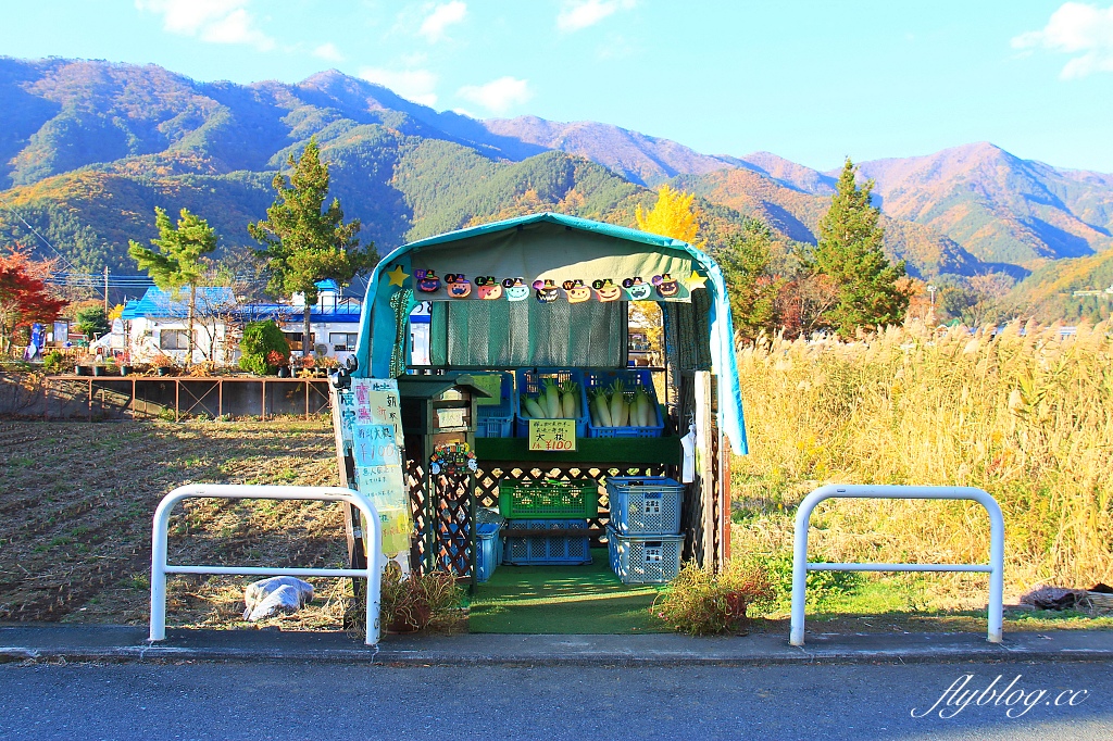 日本山梨｜2023河口湖楓葉季登場，河口湖一日遊景點和交通方式 @飛天璇的口袋