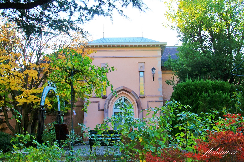 日本山梨｜2023河口湖楓葉季登場，河口湖一日遊景點和交通方式 @飛天璇的口袋