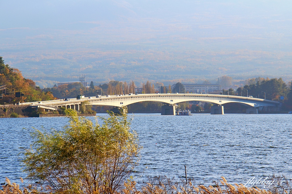 日本山梨｜2023河口湖楓葉季登場，河口湖一日遊景點和交通方式 @飛天璇的口袋