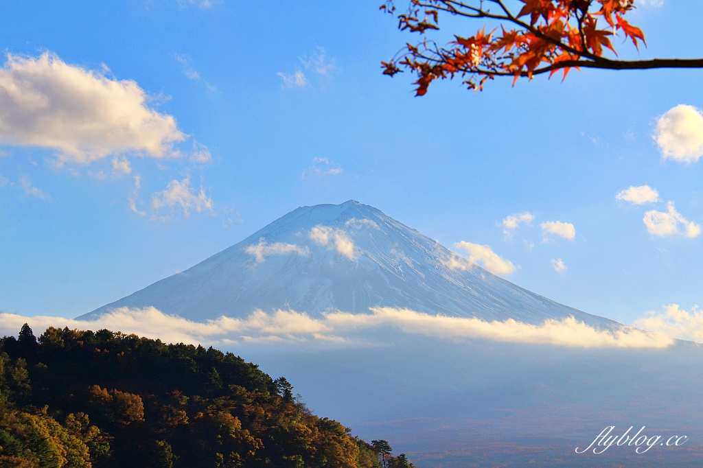 日本山梨｜2023河口湖楓葉季登場，河口湖一日遊景點和交通方式 @飛天璇的口袋