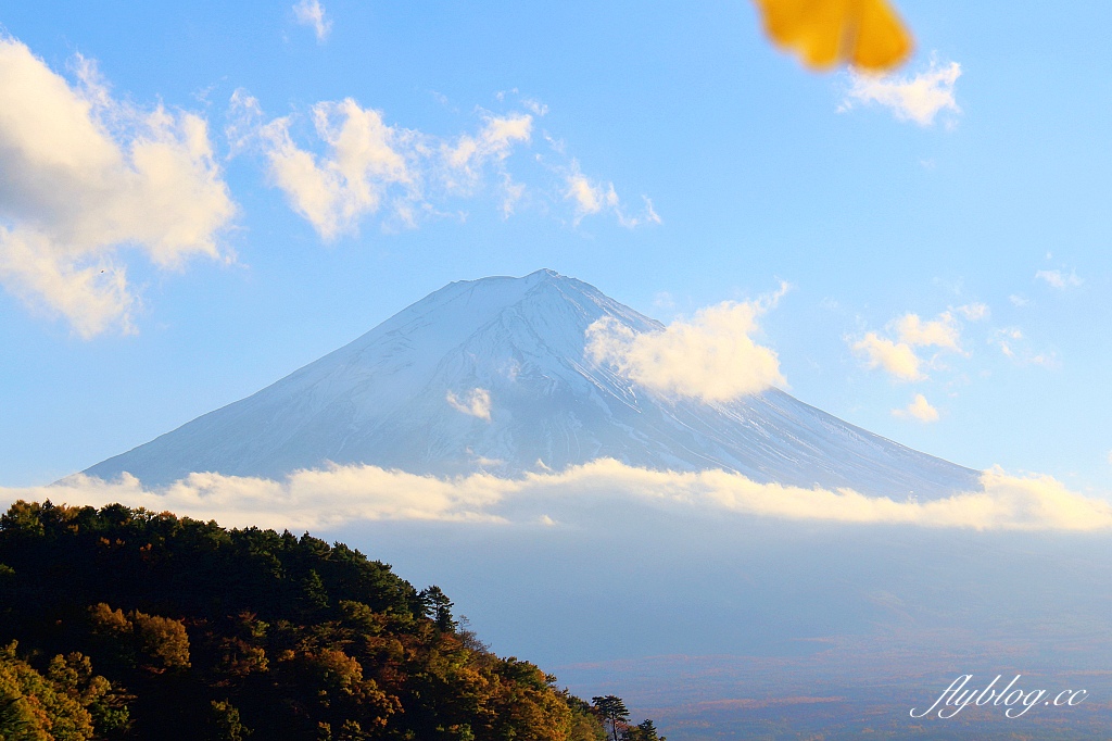 日本山梨｜2023河口湖楓葉季登場，河口湖一日遊景點和交通方式 @飛天璇的口袋
