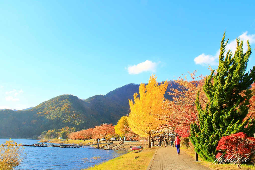 日本山梨｜2023河口湖楓葉季登場，河口湖一日遊景點和交通方式 @飛天璇的口袋