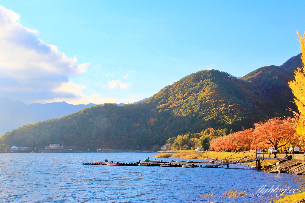 日本山梨｜2023河口湖楓葉季登場，河口湖一日遊景點和交通方式 @飛天璇的口袋