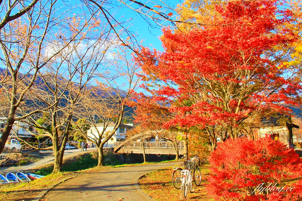 日本山梨｜2023河口湖楓葉季登場，河口湖一日遊景點和交通方式 @飛天璇的口袋