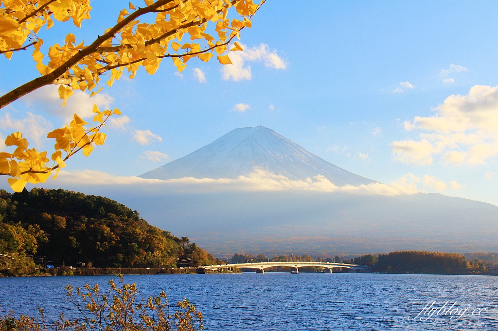 日本山梨｜2023河口湖楓葉季登場，河口湖一日遊景點和交通方式 @飛天璇的口袋