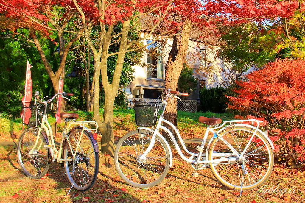 日本山梨｜2023河口湖楓葉季登場，河口湖一日遊景點和交通方式 @飛天璇的口袋