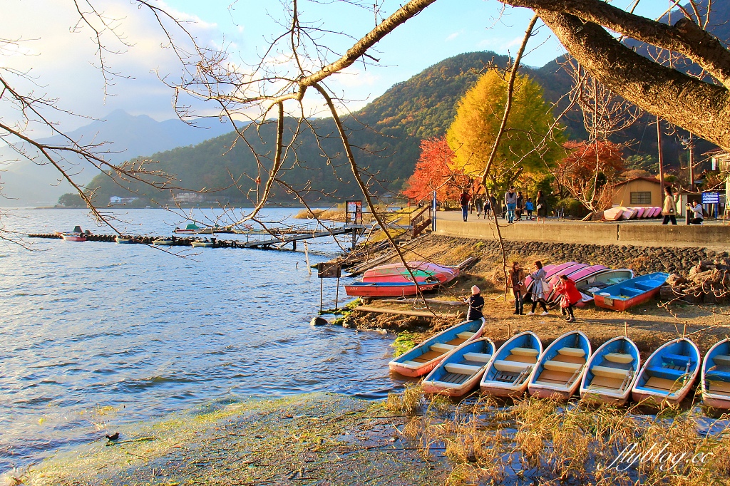 日本山梨｜2023河口湖楓葉季登場，河口湖一日遊景點和交通方式 @飛天璇的口袋