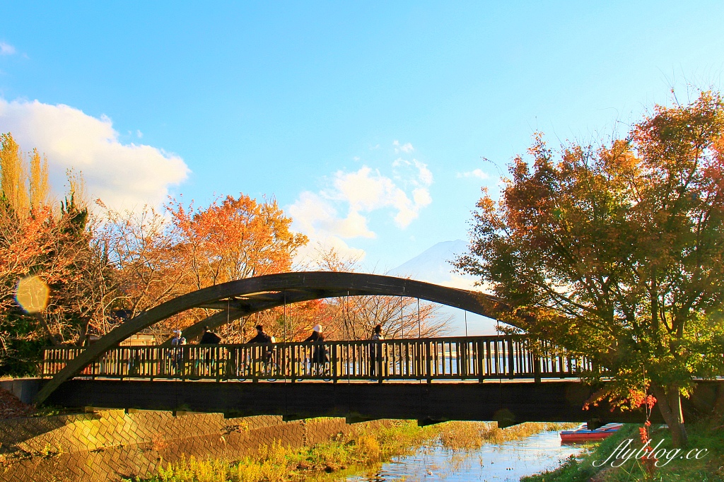 日本山梨｜2023河口湖楓葉季登場，河口湖一日遊景點和交通方式 @飛天璇的口袋