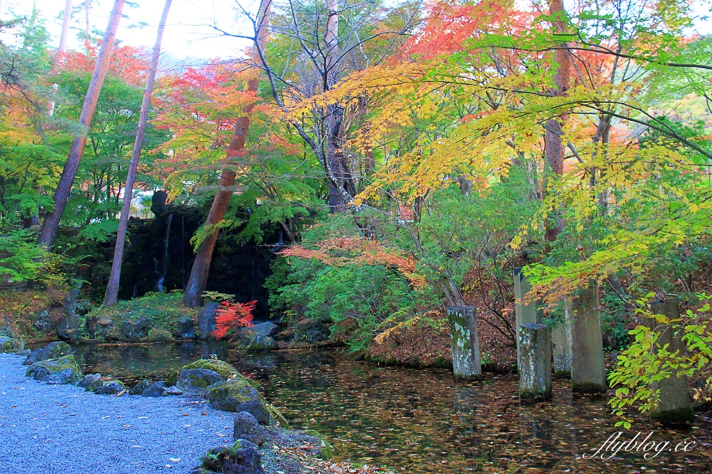 日本山梨｜2023河口湖楓葉季登場，河口湖一日遊景點和交通方式 @飛天璇的口袋