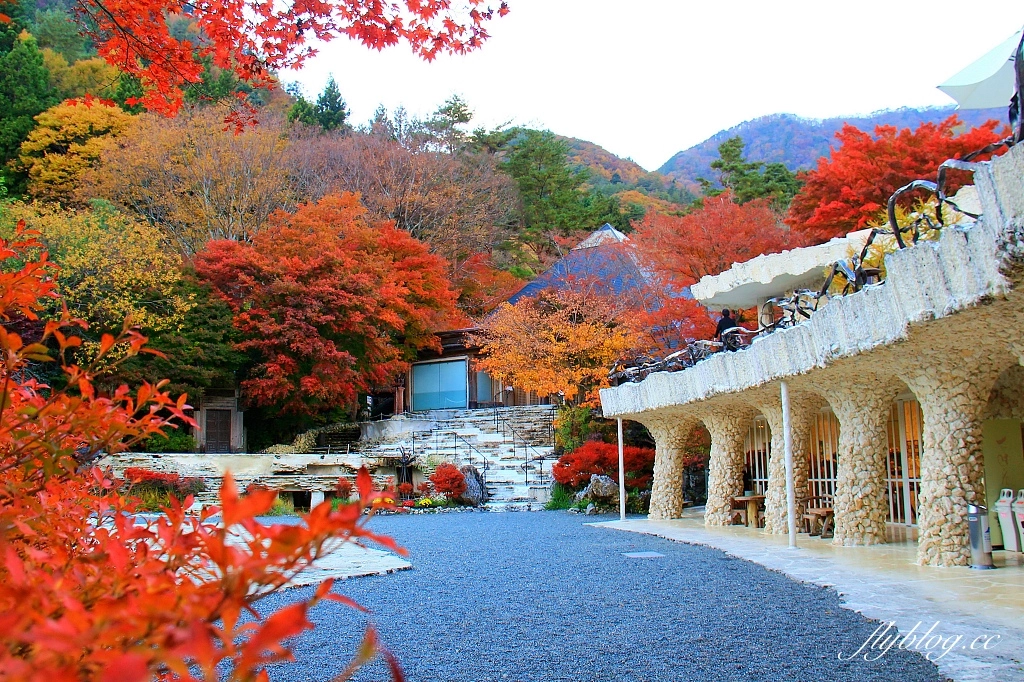 日本山梨｜2023河口湖楓葉季登場，河口湖一日遊景點和交通方式 @飛天璇的口袋