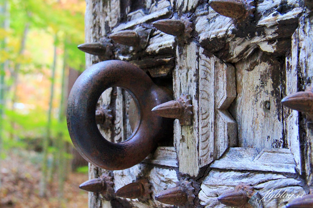 日本山梨｜2023河口湖楓葉季登場，河口湖一日遊景點和交通方式 @飛天璇的口袋