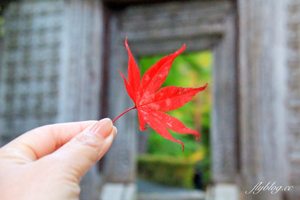 日本山梨｜2023河口湖楓葉季登場，河口湖一日遊景點和交通方式 @飛天璇的口袋