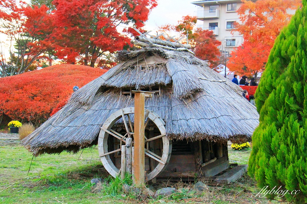 日本山梨｜2023河口湖楓葉季登場，河口湖一日遊景點和交通方式 @飛天璇的口袋