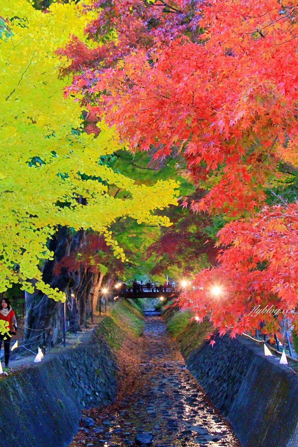 日本山梨｜2023河口湖楓葉季登場，河口湖一日遊景點和交通方式 @飛天璇的口袋