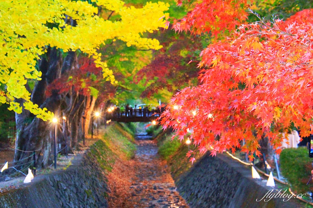 日本山梨｜2023河口湖楓葉季登場，河口湖一日遊景點和交通方式 @飛天璇的口袋