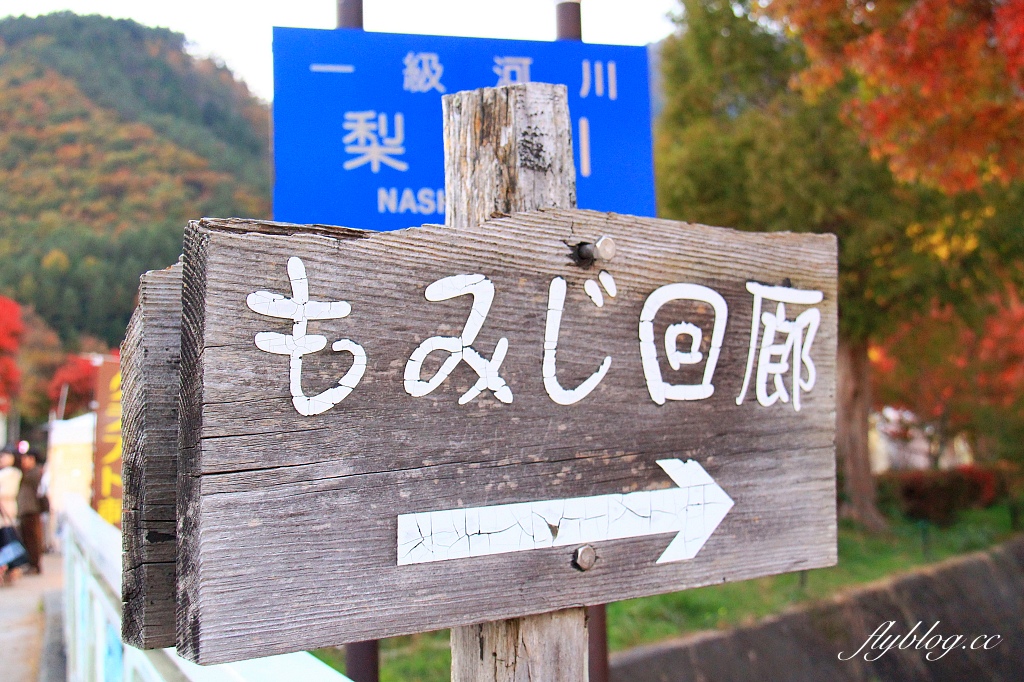 日本山梨｜2023河口湖楓葉季登場，河口湖一日遊景點和交通方式 @飛天璇的口袋