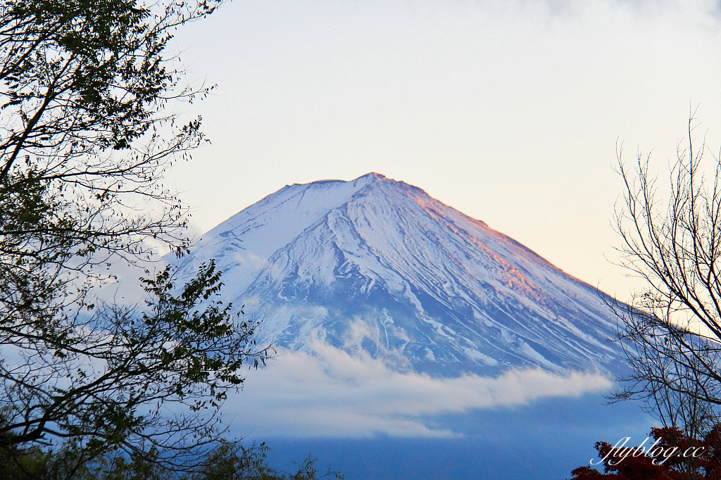 日本山梨｜2023河口湖楓葉季登場，河口湖一日遊景點和交通方式 @飛天璇的口袋