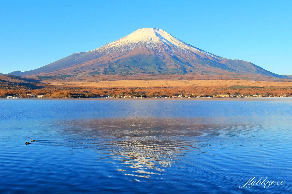 日本山梨｜山中湖．拍富士山的秘境，欣賞日出絕美逆富士 @飛天璇的口袋
