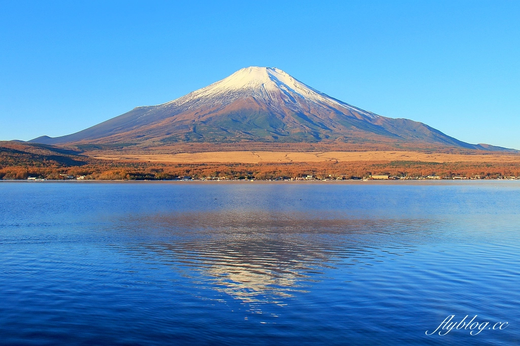 日本山梨｜山中湖．拍富士山的秘境，欣賞日出絕美逆富士 @飛天璇的口袋