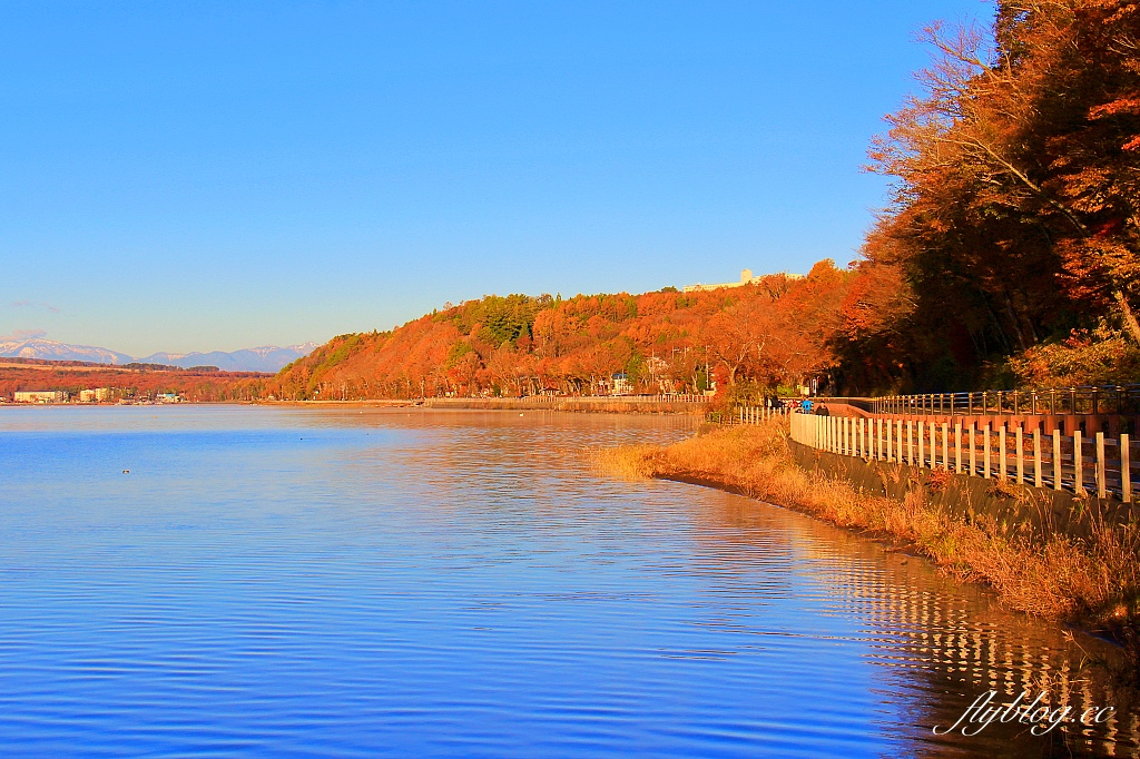 日本山梨｜2023河口湖楓葉季登場，河口湖一日遊景點和交通方式 @飛天璇的口袋