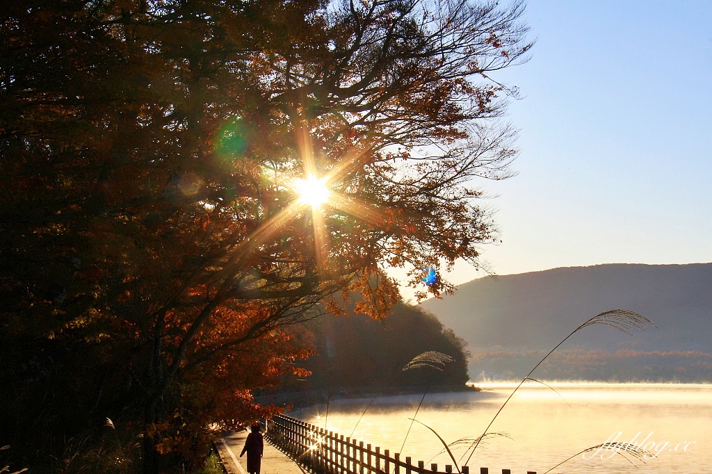 日本山梨｜山中湖．拍富士山的秘境，欣賞日出絕美逆富士 @飛天璇的口袋