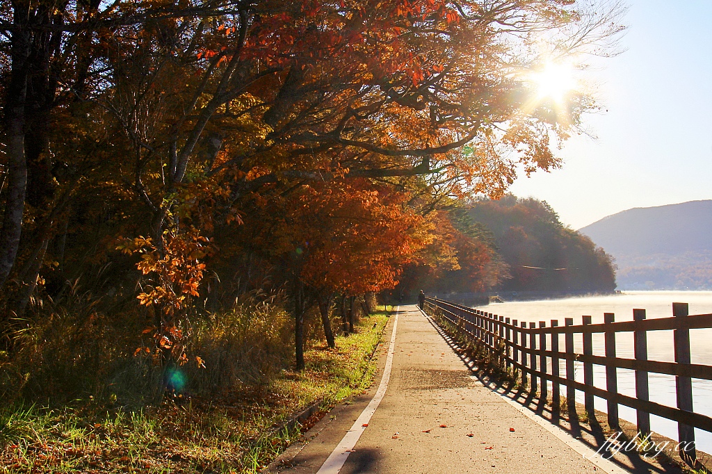 日本山梨｜山中湖．拍富士山的秘境，欣賞日出絕美逆富士 @飛天璇的口袋