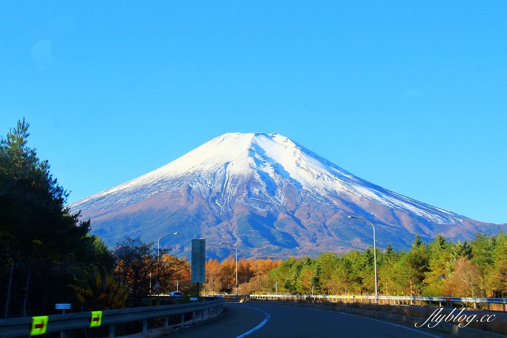 日本山梨｜山中湖．拍富士山的秘境，欣賞日出絕美逆富士 @飛天璇的口袋