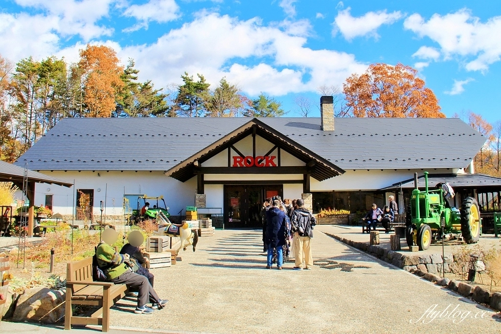 日本山梨｜清里萌木之村．充滿歐洲風情的童話小鎮，日本唯一森林裡的旋轉木馬 @飛天璇的口袋