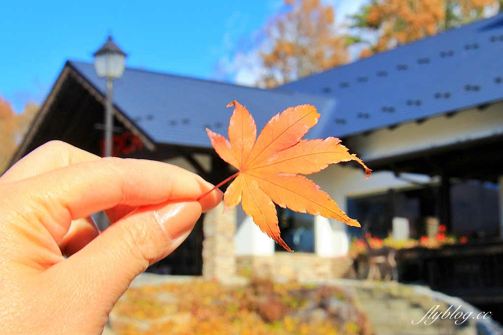 日本山梨｜清里萌木之村．充滿歐洲風情的童話小鎮，日本唯一森林裡的旋轉木馬 @飛天璇的口袋